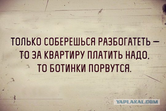 Приколы из сети