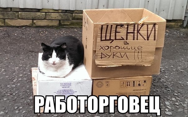Подборка прикольных фото на пятницу