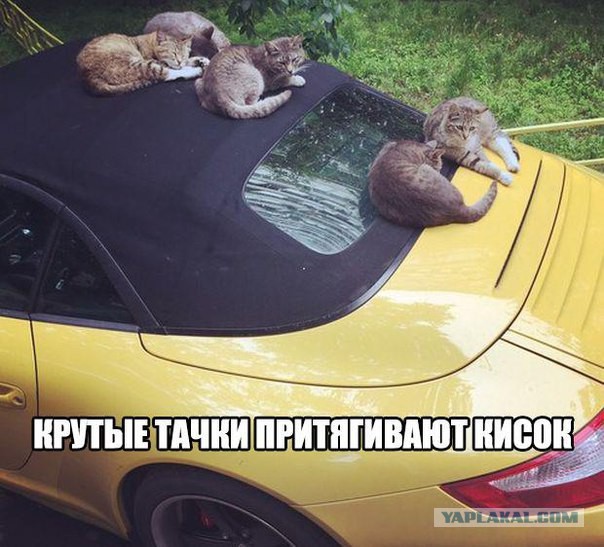 Разные картинки из сети