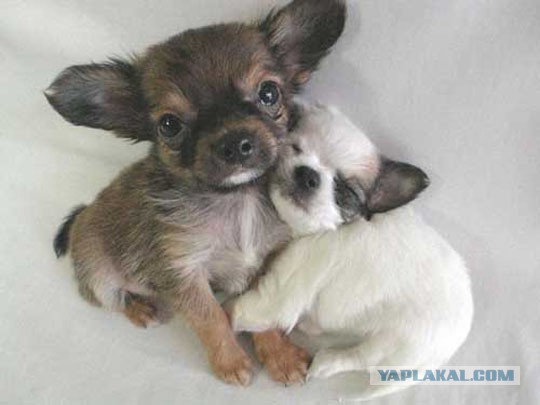 Разные картинки