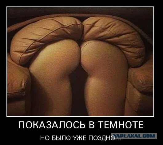 Смешные комментарии из социальных сетей 12.02.2016