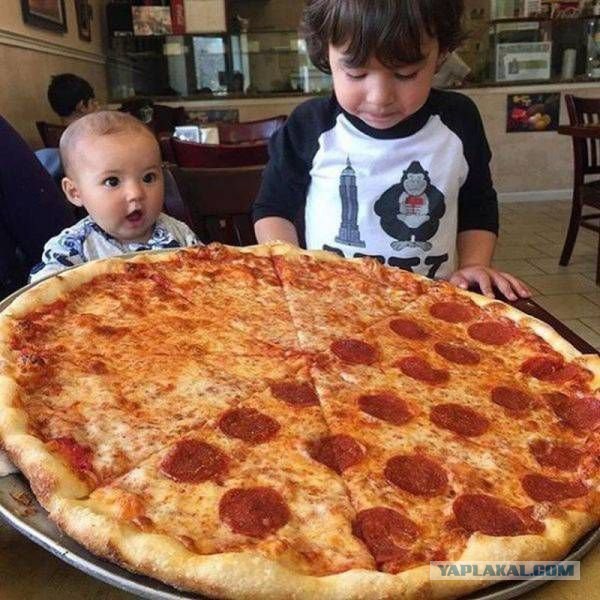 Интересные и веселые картинки