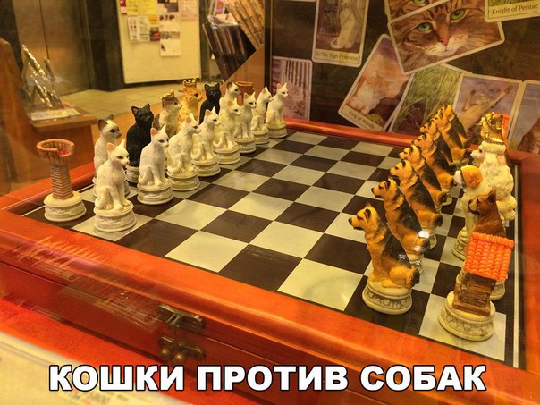 Подборка картинок