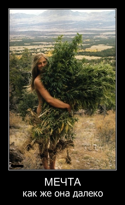 Подборка смешных, не очень и просто красивых фотографий