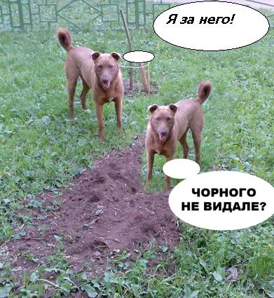 Фотожаба: да здесь где-то недалеко!