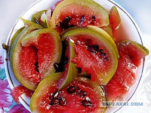 Юкка: уход и размножение
