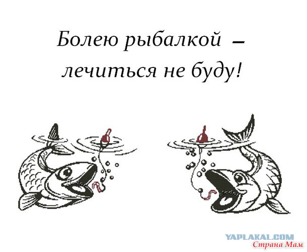 Как с пользой провести время, потратив совсем мало денег.
