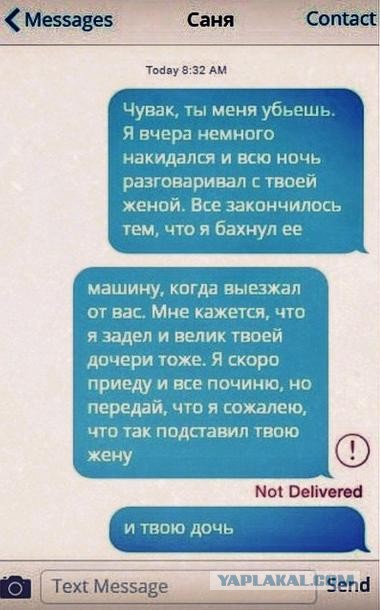Порция картинок из сети