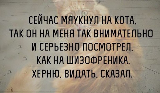 Смешные картинки из сети на 27.10.16