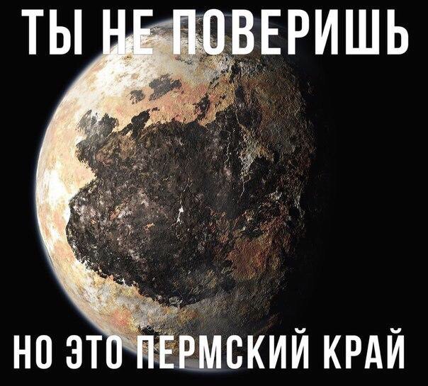 Тупые люди. Тупые животные. Тупые высказывания. Все тупые!
