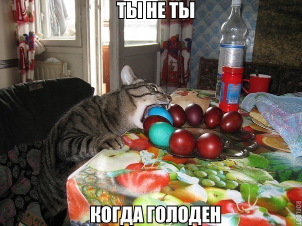 Смотри приколы и тупей