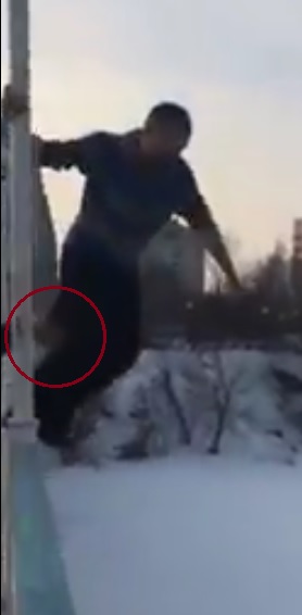 Несите премию Дарвина