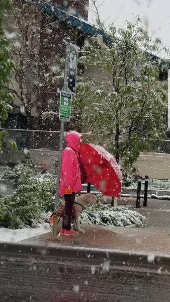 Подборка безудержного веселья