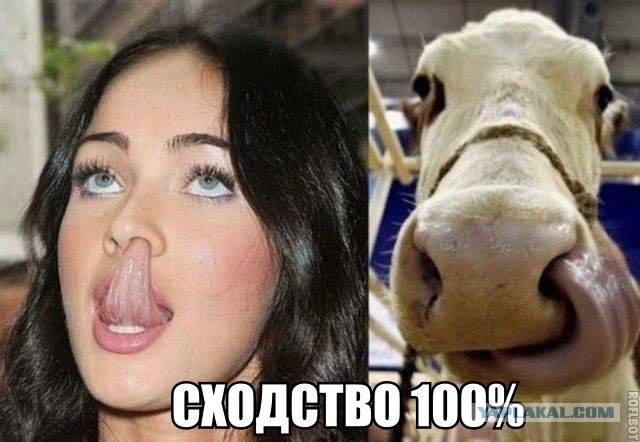 Забавные комментарии, шутки и фразы из этих ваших интернетов