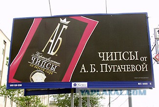 Барбер-шоп  от Никиты Михалкова и другие люди культуры, нашедшие себя в других сферах