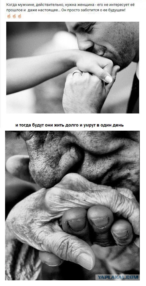 Просто картинки
