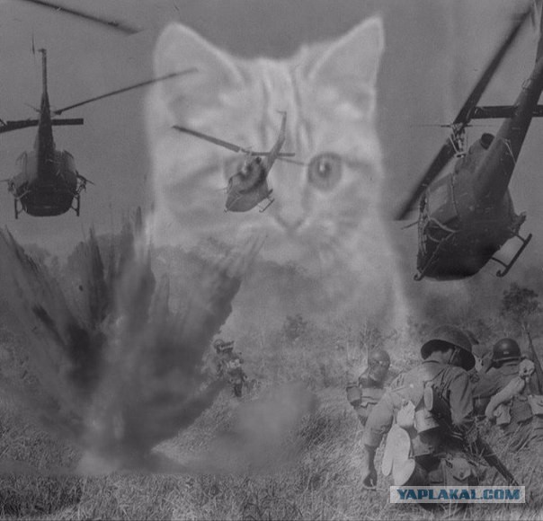 Джо не делится едой! (с)