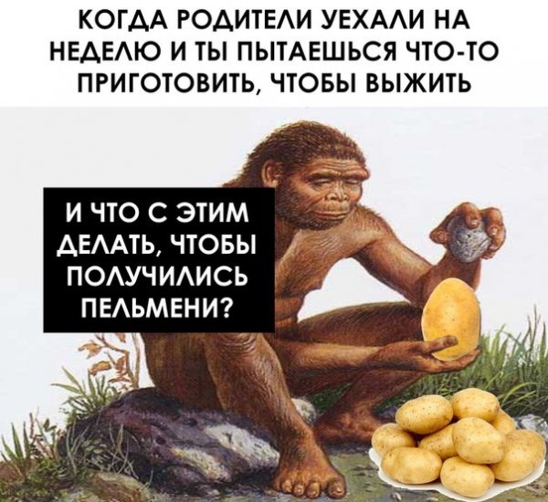 Нестандартный юмор