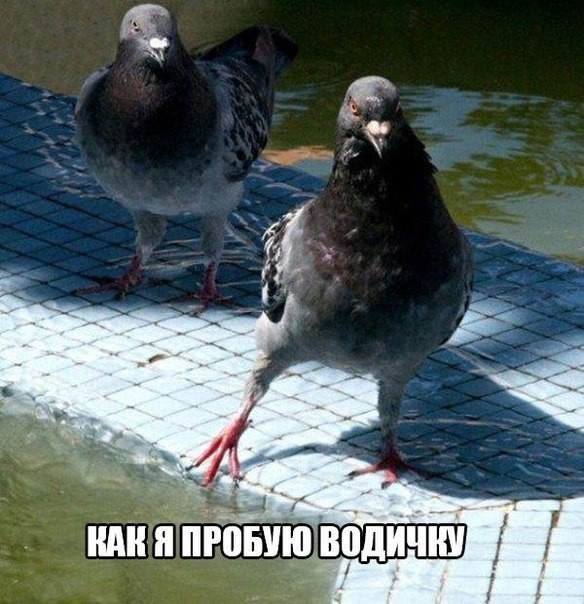 Отдыхаем от работы, в картинках без политоты.