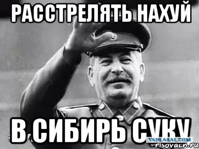 В Совете Федерации захотели приравнять сталинизм к нацизму