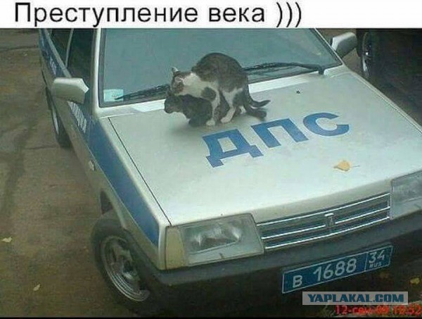 Закончил - оботри станок и сразу смотри картинок чуток!