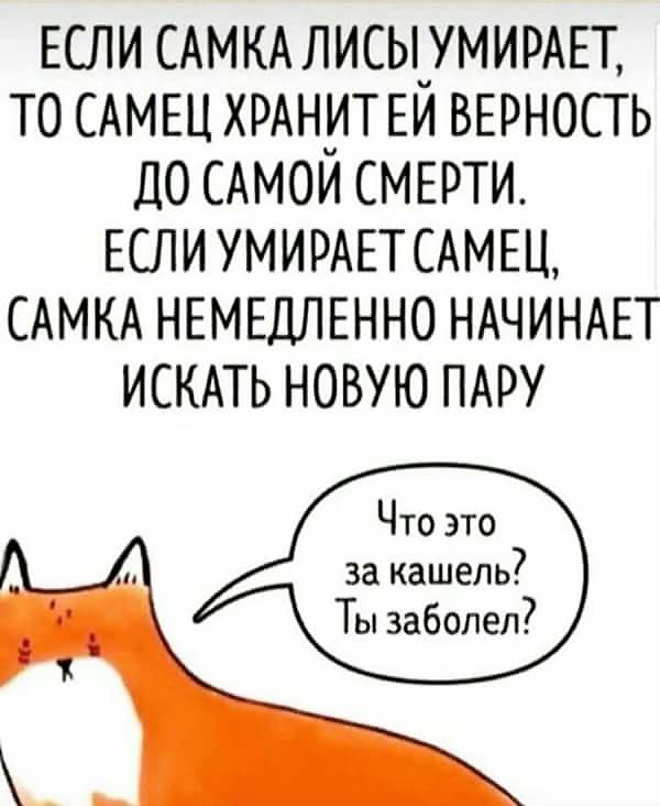 Не очень адекватный юмор