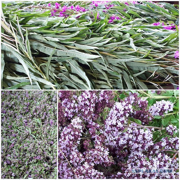 Кулинарная сказка