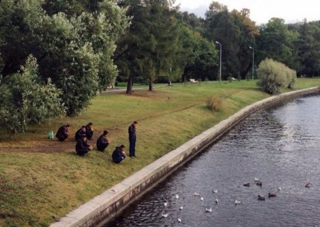 Выловлено в наших сетях