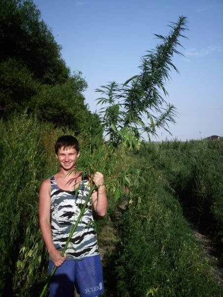 Чудики из социальных сетей