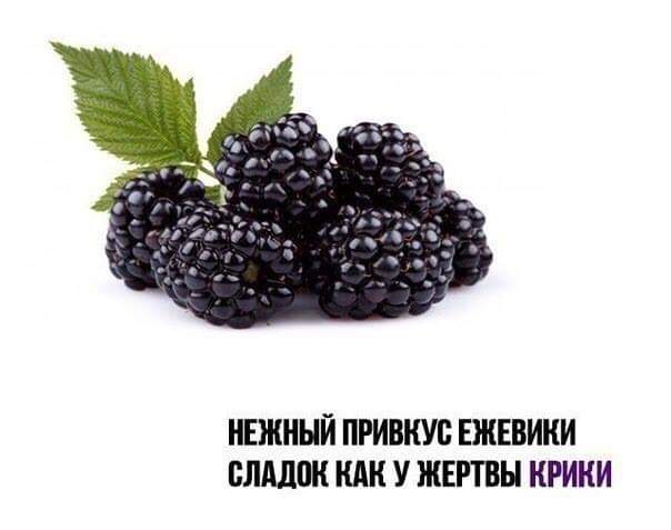 Вива ла деградасьон