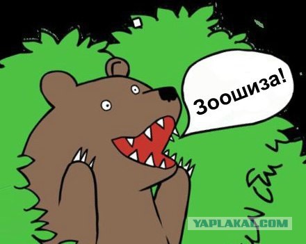 Привязал собак к машине: в Самаре разразился скандал из-за смерти двух псов