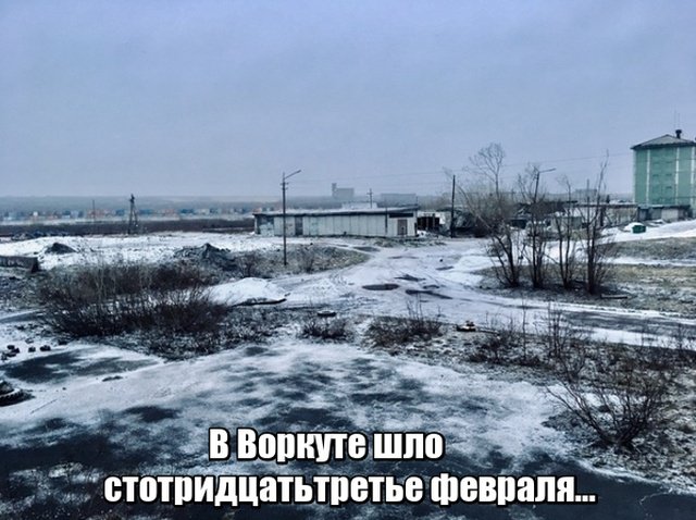 Картинки с надписями и анекдоты