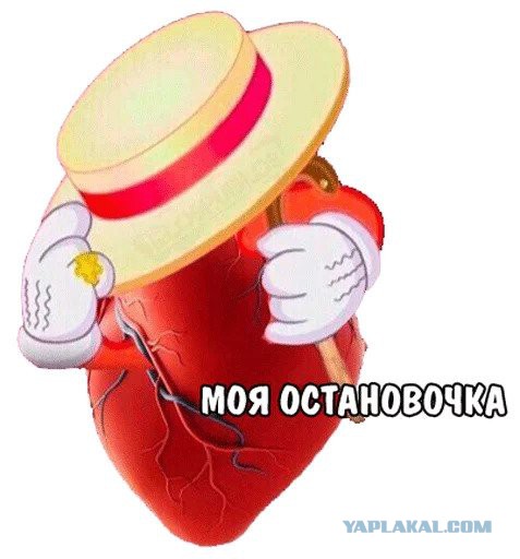 Баклажанбургер, геометрического недоразумения псто.