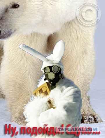 Пятничная Фотожаба: Заяц-Мутант
