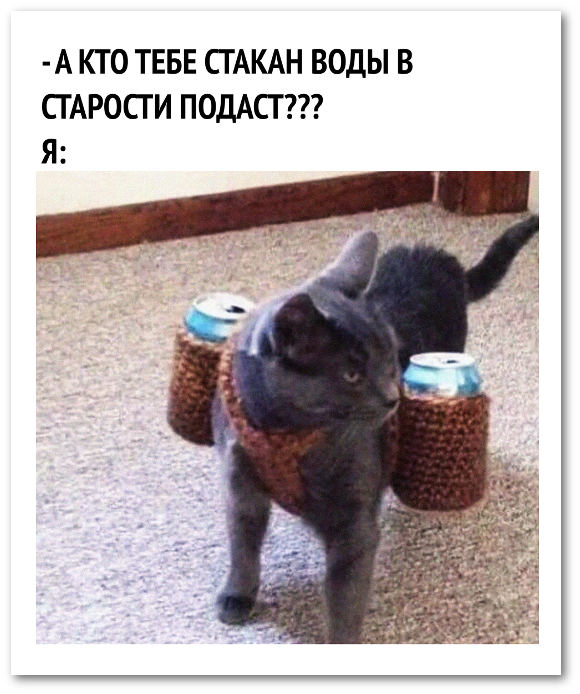 14321064.jpg