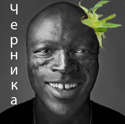 Фотожаба: Лето, фрукты, генетика!