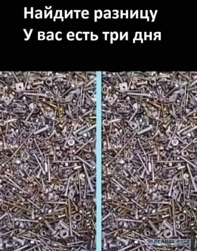 ЦРУ предложило людям проверить внимательность и найти 10 отличий на 2 фото. Пользователи сети нашли больше