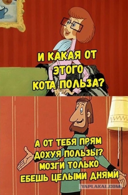 Был бы у меня такой пёс...