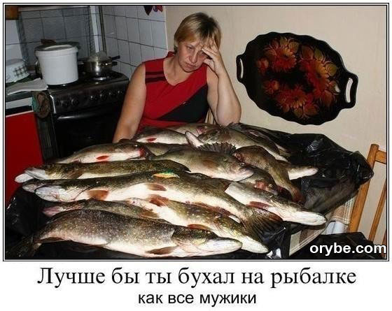 Одиночество сволочь