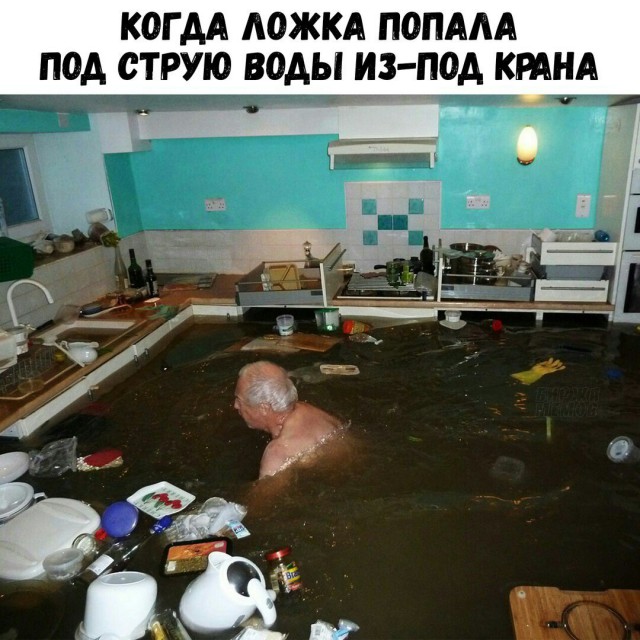 Чепухень на каждый день
