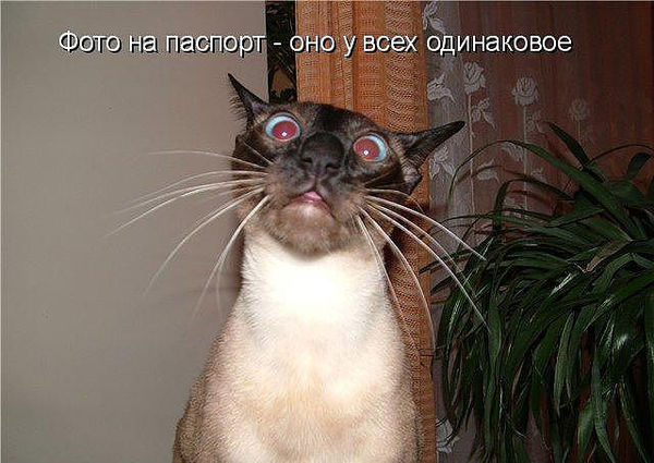 Результат раскопок на моем компе. Картинки разные, архивные, бессистемные