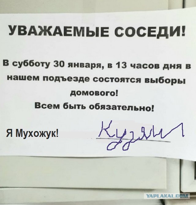 Скрестил пальцы за Кузю