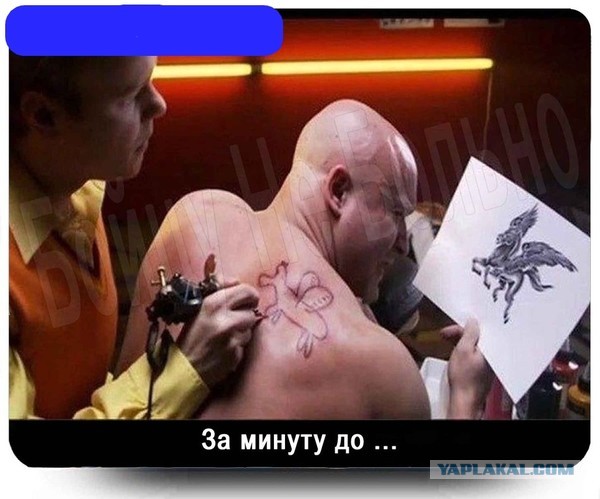 Псс, парень, портаки интересуют?