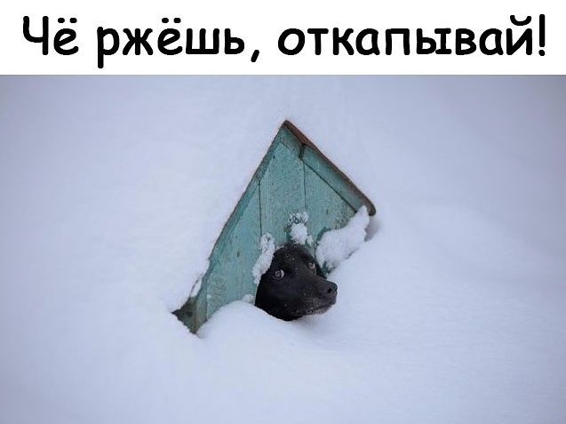 Подборка картинок всяких