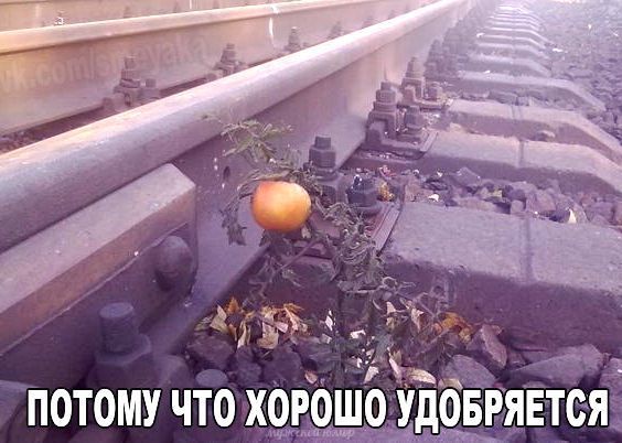 Так себе картинки 05.03.21
