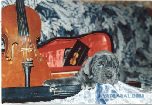 Можно я с краешку прилягу?