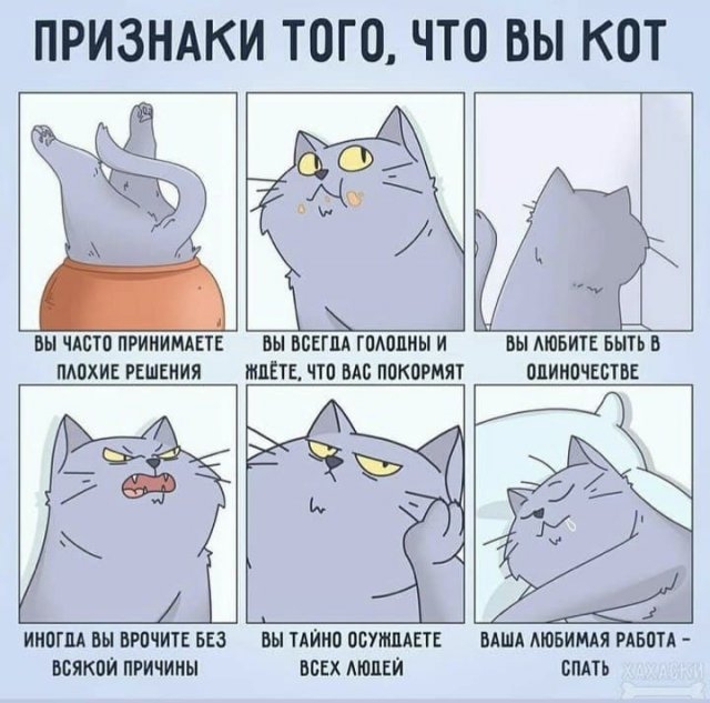 Картинки и мемы для настроения 13.04.2021