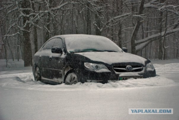 Снег не помеха Quattro