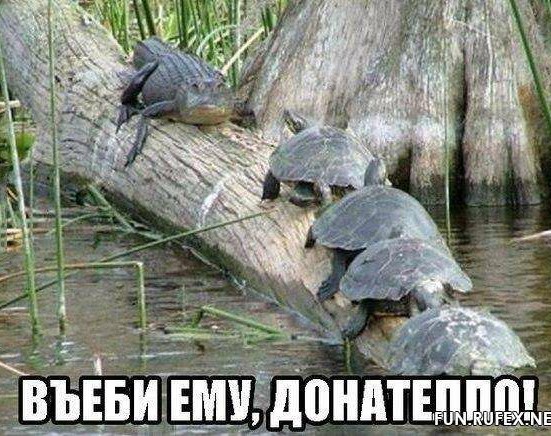 Да хватит уже раскачивать-то..