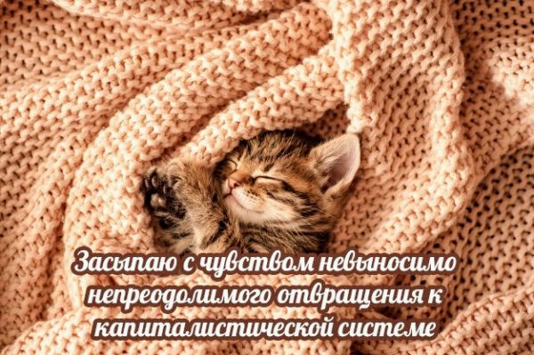 Картинки и мемы для настроения 12.07.2021